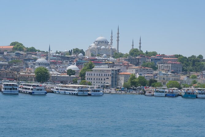 Full Day Istanbul Bosphorus Cruise and Dolmabahce Palace Tour with Private Guide - Getting around: public boats and trams, not a private driver
