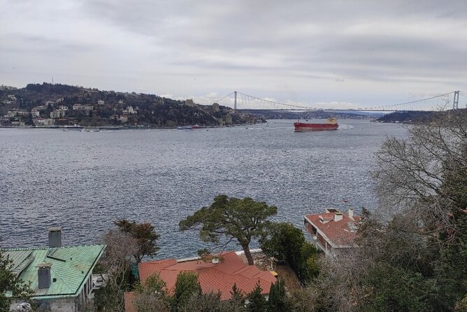Full Day Istanbul Bosphorus Cruise and Dolmabahce Palace Tour with Private Guide - Price and value: what you pay for, what you still have to cover