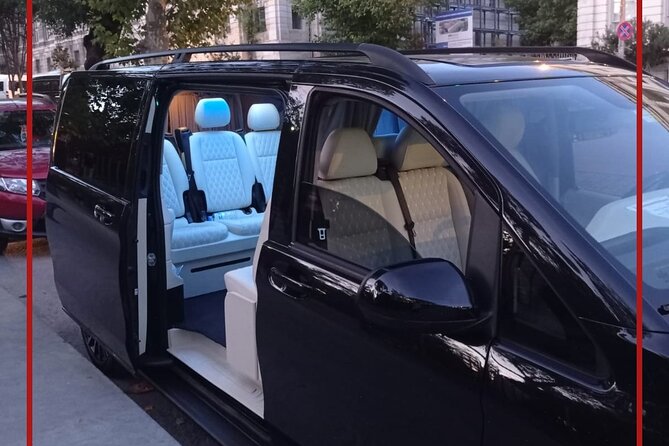 Full Day Luxury Vehicle Rental in Istanbul - Custom itinerary and your pace, with one planning downside