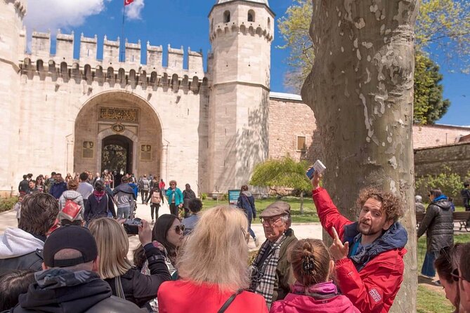 Full Day Private Guide in Istanbul - The Blue Mosque: tiles, minarets, and the best viewpoint nearby