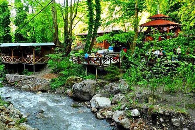 Full Day Tour in Sapanca & Masukiye from Istanbul - Maşukiye First Stop: Village Atmosphere and Scenic Breaks