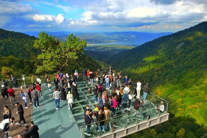 Full Day Tour in Sapanca & Masukiye from Istanbul - Darıca Zoo or Lion Park: How Season Changes Your Optional Stop