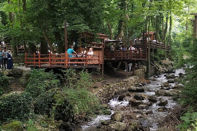 Full Day Tour in Sapanca & Masukiye from Istanbul - Price Breakdown: Why $31.24 Still Calls for a Budget Plan