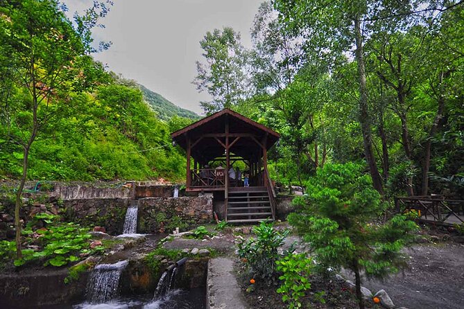 Full Day Tour Sapanca and Masukiye from Istanbul - Maşukiye Stop: Scenic Village Time and a Nature-Oriented Stretch