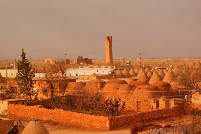 Göbekli Tepe & Şanlıurfa City Tour 2 Days 1 Night From Istanbul - Sanlıurfa Archaeology and Mosaic Museum plus kebab lunch