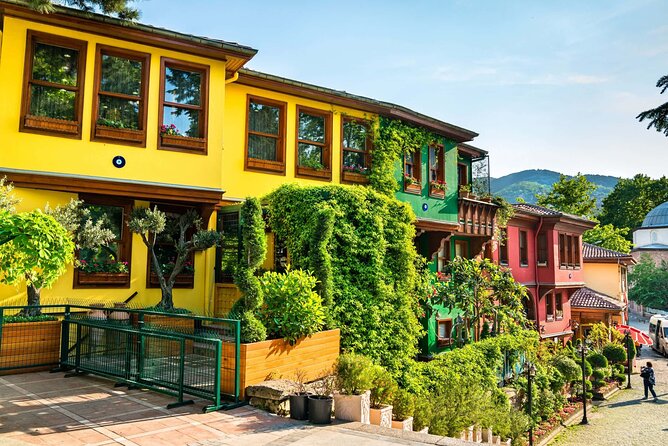 Green Bursa and Uludağ Tour from Istanbul - Bursa before the mountain: Inkaya Tarihi Çınar in the first 30 minutes