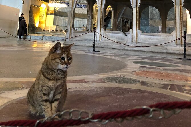 Guided Tour to Hagiasophia - Getting there at Sultanahmet: Fountain of Sultan Ahmed III