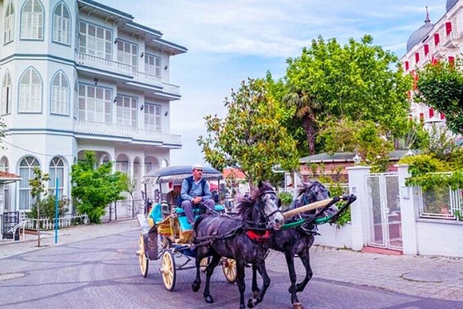 Guided VIP Princes Island Full Day Tour from Istanbul with Lunch - Heybeliada walking tour: pines, bays, and old-villa vibes