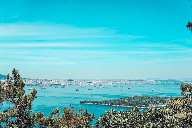 Guided VIP Princes Island Full Day Tour from Istanbul with Lunch - Logistics that matter when it is up to 200 people