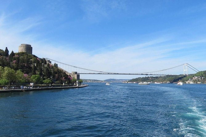 Half Day Morning Bosphorus Cruise & Spice Bazaar visit (Bus and Boat Tour) - Who this half-day cruise and bazaar tour suits best