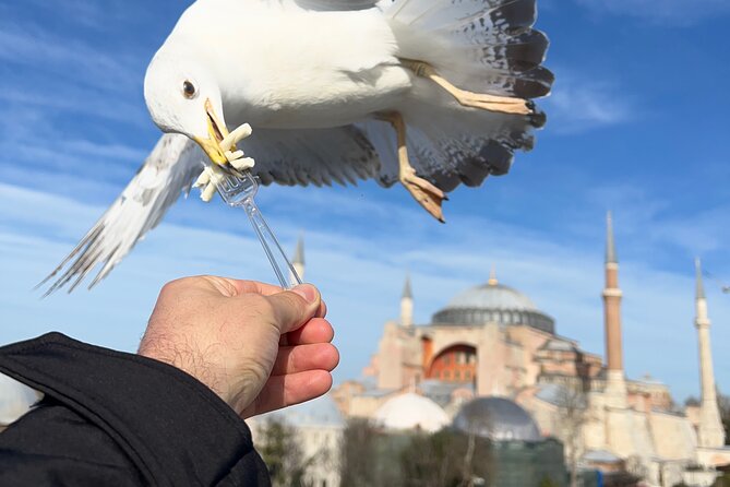Imperial Traces of Istanbul – Private Guided Signature Tour - Stop 3: Topkapi Palace With a Guide So You Do Not Get Lost