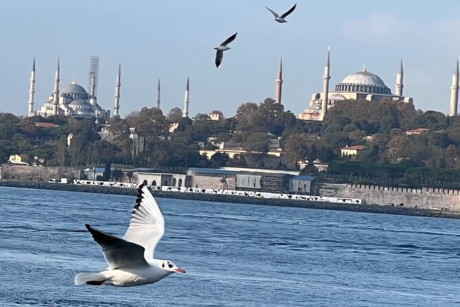 Istanbul Airport or Cruise Ship Private Layover Tour - Time Management: The Real Secret to Getting More Out of 3 to 10 Hours