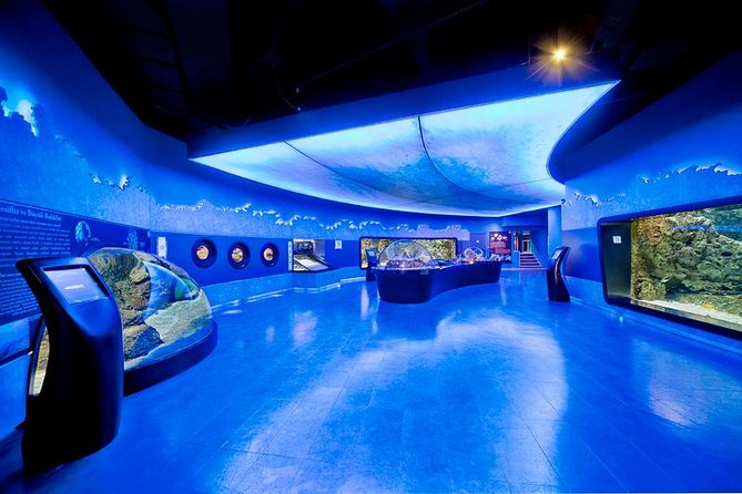 Istanbul Aquarium and Aqua Florya Independent Shopping Trip - Key Highlights You Should Know Before You Go