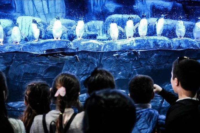 Istanbul Aquarium and Aqua Florya Independent Shopping Trip - Getting There Smoothly: Coach Transport, Small Group Feel