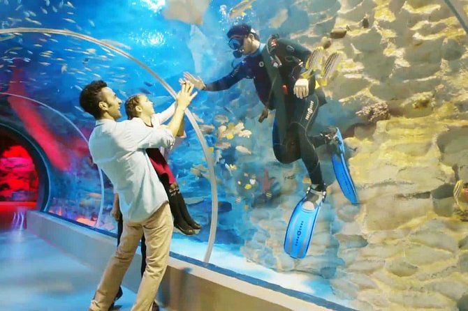 Istanbul Aquarium and Aqua Florya Independent Shopping Trip - 16 Aquatic Worlds in Practice: How the Layout Changes What You See