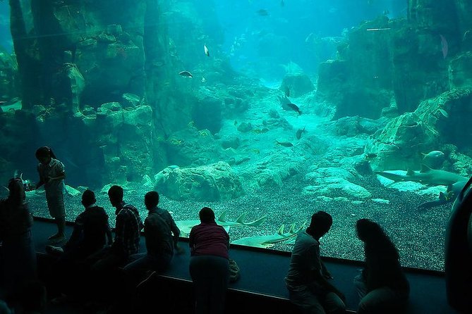 Istanbul Aquarium and Aqua Florya Independent Shopping Trip - Audio-Visual Learning and Animal Numbers: What They Mean for Your Visit