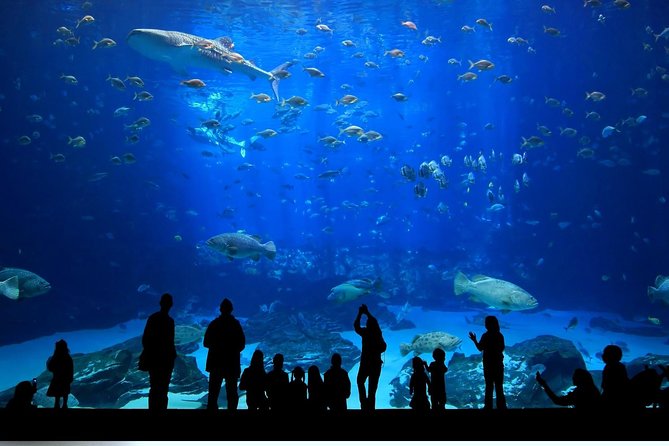 Istanbul Aquarium and Aqua Florya Independent Shopping Trip - Aqua Florya Mall Time: 140+ Stores, Coastal Vibes, Real Break Options