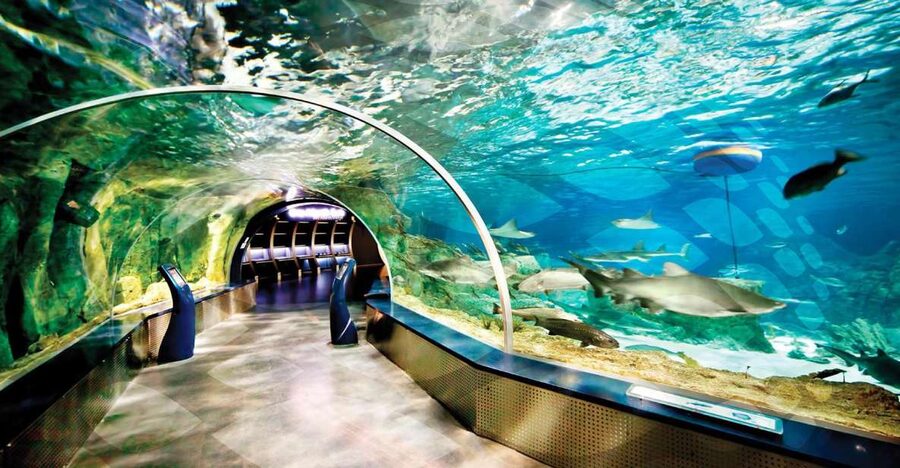 Istanbul Aquarium and Aqua Florya Shopping Mall Tour - Key things to know before you go