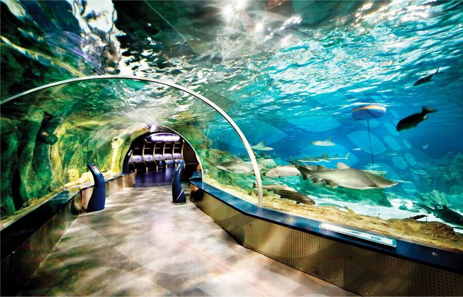 Istanbul Aquarium and Aqua Florya Shopping Mall Tour - Rainforest Quest and Mirror Labyrinth: interactive stops, not just viewing