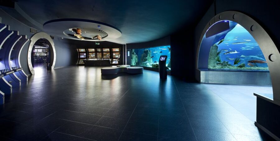 Istanbul Aquarium and Aqua Florya Shopping Mall Tour - 5D cinema: fog, wind, and water effects in special glasses
