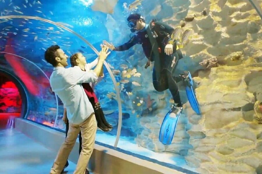 Istanbul Aquarium and Aqua Florya Shopping Mall Tour - Price and value: what $177 buys in 5 hours