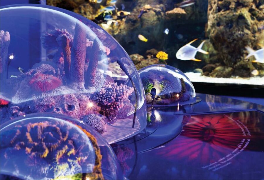 Istanbul Aquarium and Aqua Florya Shopping Mall Tour - Who this tour suits best, and who should think twice