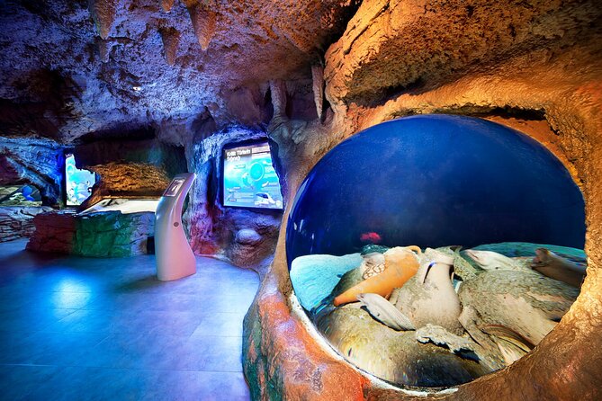 Istanbul Aquarium and Shopping Tour with Hotel Transfers - Hotel transfers that actually save your day