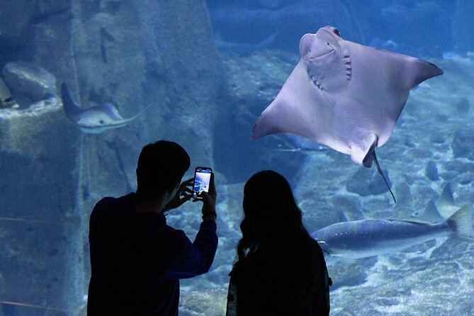 Istanbul Aquarium and Shopping Tour with Hotel Transfers - How long 4 to 8 hours can affect your plan