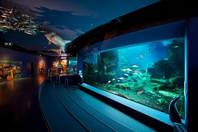 Istanbul Aquarium and Shopping Tour with Hotel Transfers - Who should book this aquarium and shopping combo