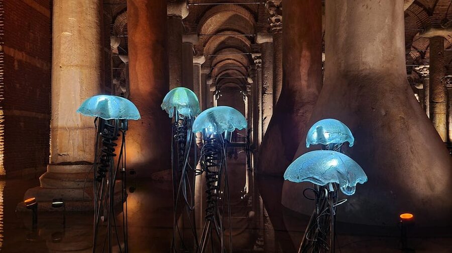 Istanbul: Basilica Cistern Skip-the-Line Entry Ticket - Small gotchas that can make or break the visit