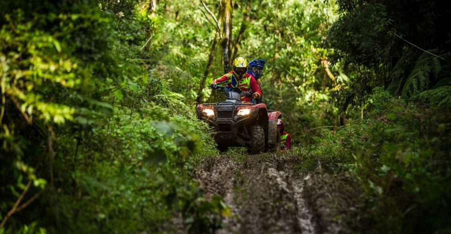Istanbul: Belgrad Forest ATV Tour with Ziplining Option - Belgrad Forest ATV riding, with a zipline option for extra adrenaline
