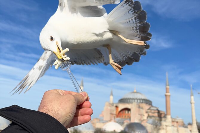 ISTANBUL BEST: Iconic Landmarks Full Day PRIVATE Guided City Tour - Key points that make this day work