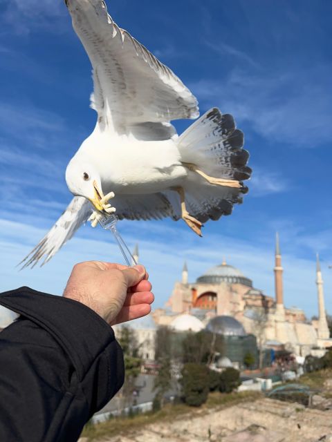 Istanbul: Best of the City Full-Day Tour with Transfers - Who this tour suits best, and who might want a different plan