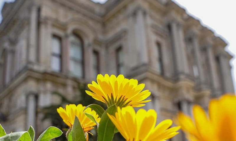 Istanbul: Beylerbeyi Palace Skip-the-Line Ticket & Audio … - The rooms and stories: using the narration to connect dots