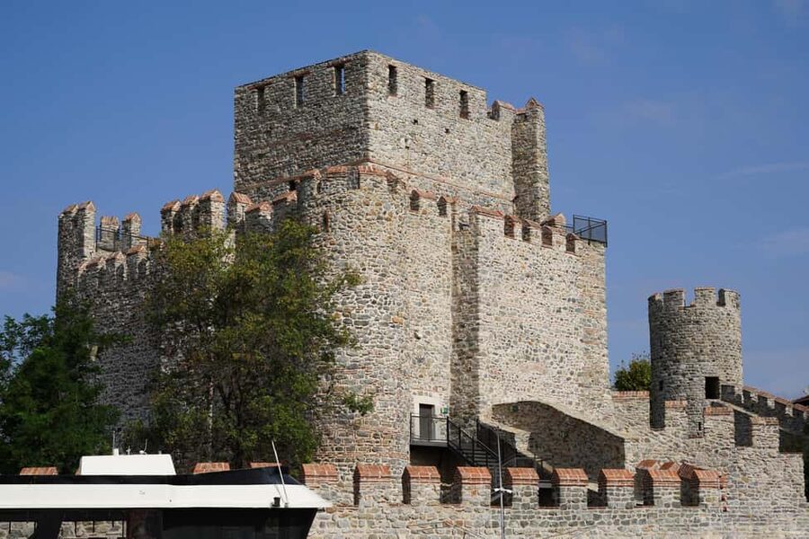 Istanbul: Boat Cruise w/ Snacks & Anatolian Fortress Visit - Under the Bosphorus bridges: the best panoramic moment