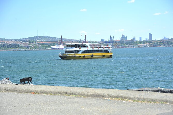 Istanbul: Bosphorus and Golden Horn Cruise with Audio Guide - Fortresses on the strait: Rumeli and Anatolian outposts