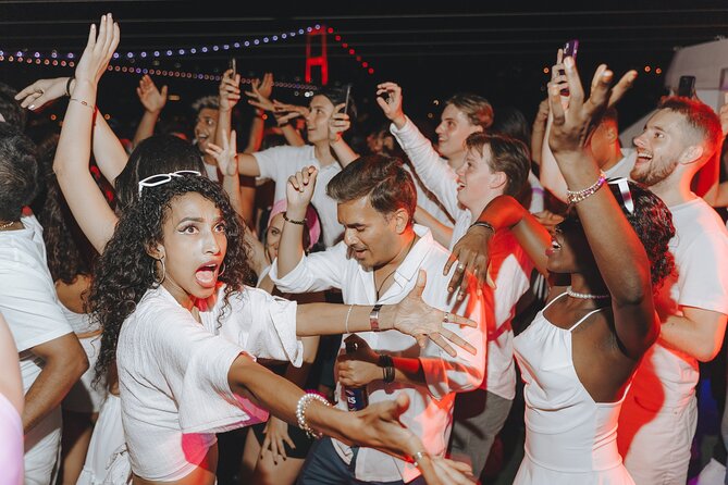Istanbul Bosphorus Boat Party with Live DJs - Who should book this Bosphorus boat party?