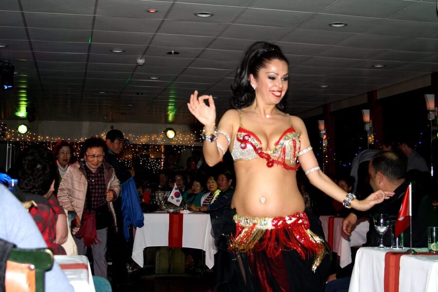 Istanbul: Bosphorus Dinner Cruise Incl. Drinks with Transfer - Price and value at about $41 per person