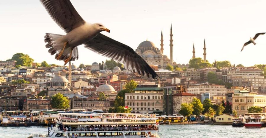 Istanbul: Bosphorus Dinner Cruise with Private Table & Show - Quick Picks Before You Go