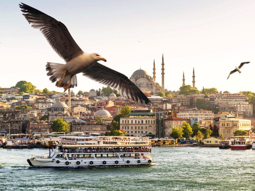 Istanbul: Bosphorus Dinner Cruise with Private Table & Show - Pickup, Harbor Meet, and Timing: How to Avoid the Common Snags