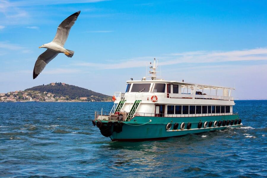 Istanbul: Bosphorus Strait Sightseeing Cruise & Audio Guide - The Asian Shore Segment: Anadolu Hisarı, Küçüksu Kasrı, Beylerbeyi