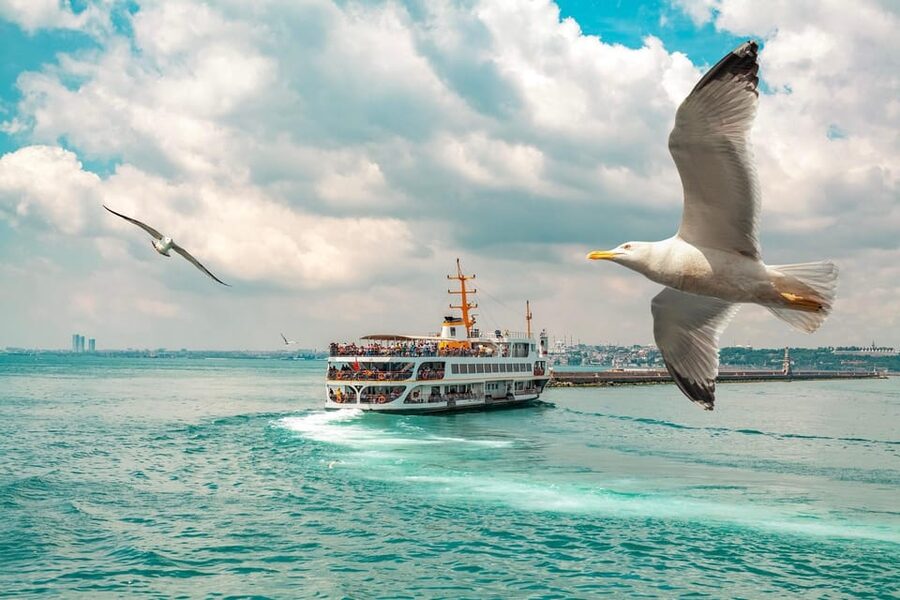 Istanbul: Bosphorus Strait Sightseeing Cruise & Audio Guide - Who This Cruise Suits Best (And Who Might Skip It)