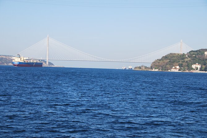 Istanbul: Bosphorus Tour With Whirling Dervish Show - Drinks, food rules, and the onboard photographer reality
