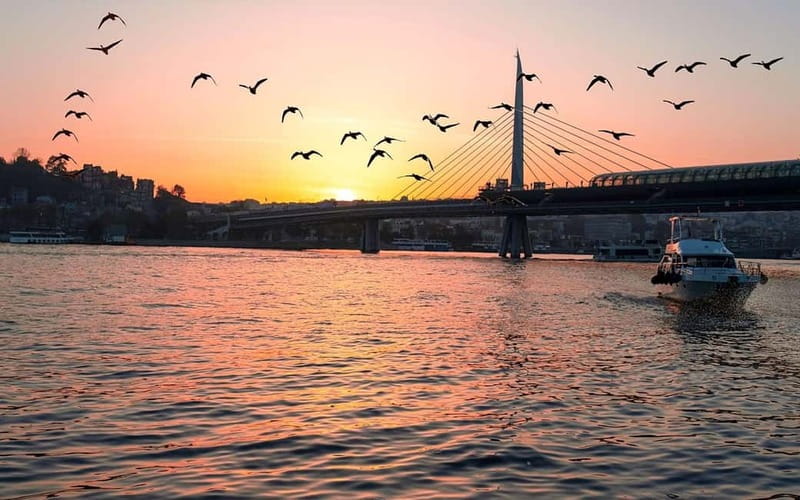 Istanbul: Bosphorus Yacht Cruise with Golden Horn View - Why a Bosphorus yacht cruise is worth your evening time