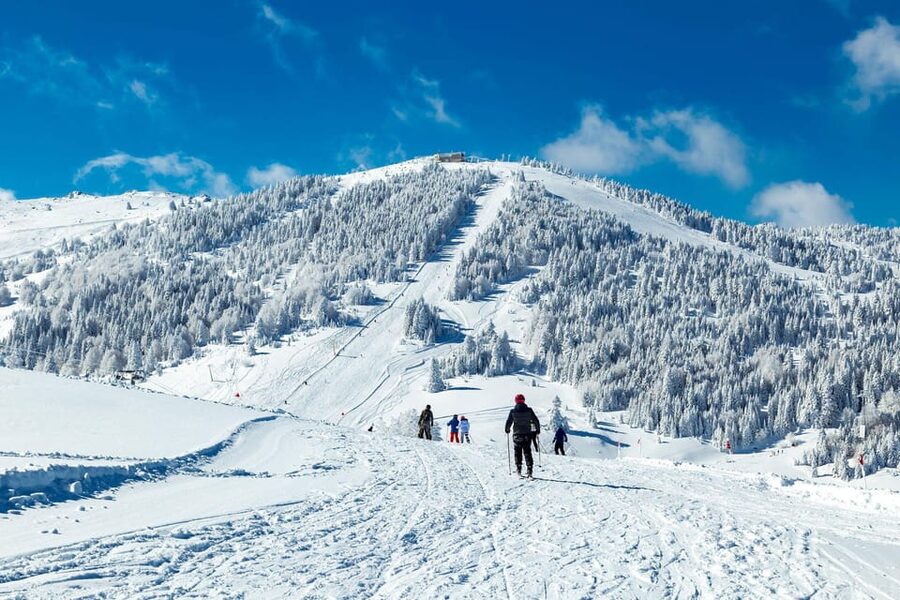 Istanbul: Bursa Tour w/ Cable Car Ride & Uludag Mountain - The cable car ride down to Bursa: the scenic payoff, with one extra fee