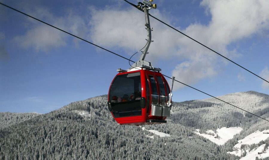 Istanbul: Bursa & Uludag Mountain Day Trip w/ Opt. Cable Car - The Inkaya Historical Plane Tree: A 610-Year Pause