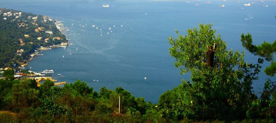 Istanbul: Day Trip to the Princes' Islands - Key Things You’ll Notice on Büyükada