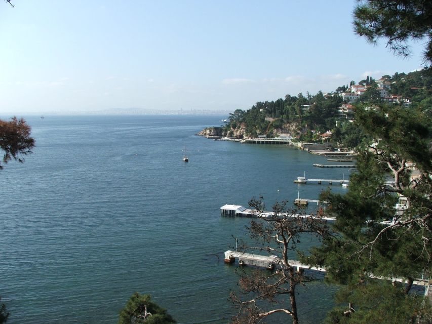 Istanbul: Day Trip to the Princes' Islands - How This Day Trip Fits Istanbul: Ferry First, Island Second