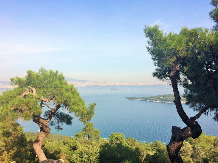 Istanbul: Day Trip to the Princes' Islands - Büyükada by Foot: Bay Views, Summer Houses, and the Main Square