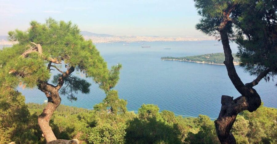 Istanbul: Day Trip to the Princes' Islands - The Marmara Sea Cruise: The Part You Should Time Mentally